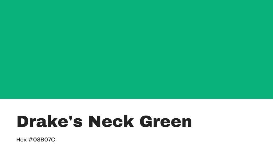 weird colors drakes neck green